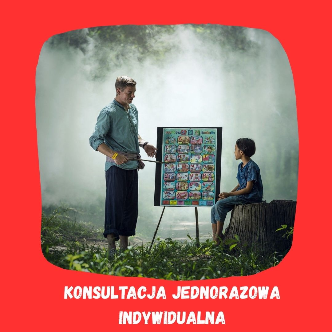 Konsultacja indywidualna 1x